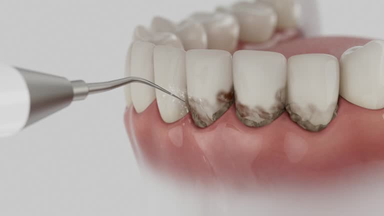 Reliable Dental contractor in Big Lake, WA by Dentist Open Now